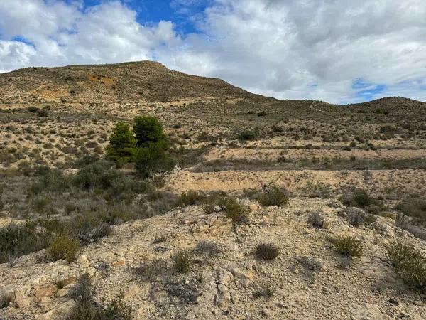 Terreno en Partida Tossal Redó s/n