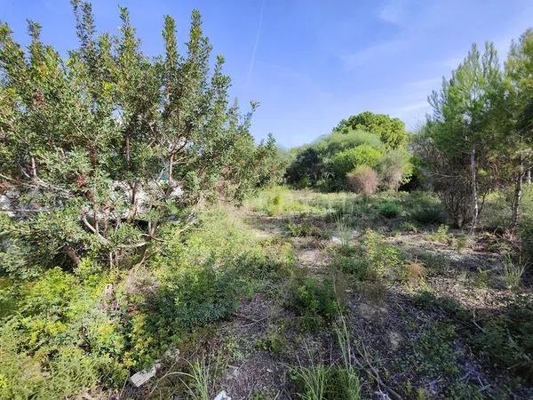 Terreno en calle de la Falguera, 3 -1