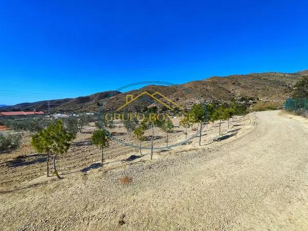 Terreno en plaza Polígono 3 Parcela 226 La Ballestera
