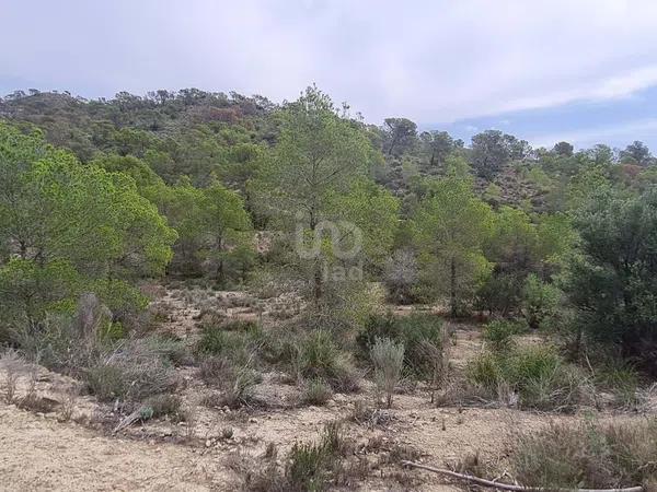 Terreno en avenida Pianista Gonzalo Soriano, 26