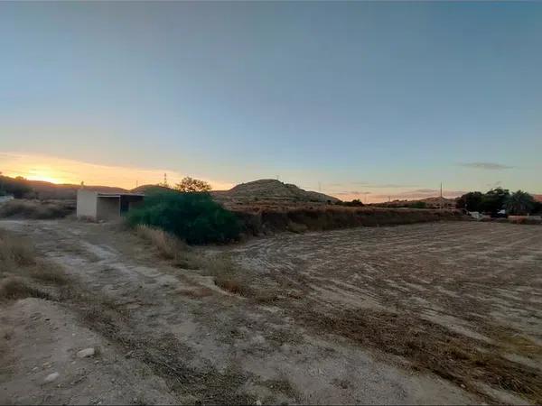 Terreno en camino de la Cova, 425