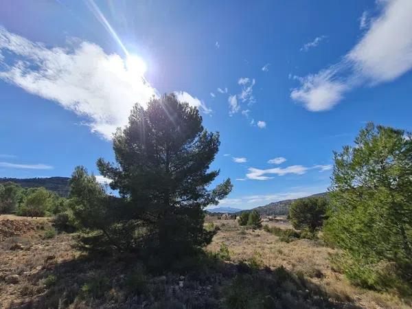 Terreno en Pinoso