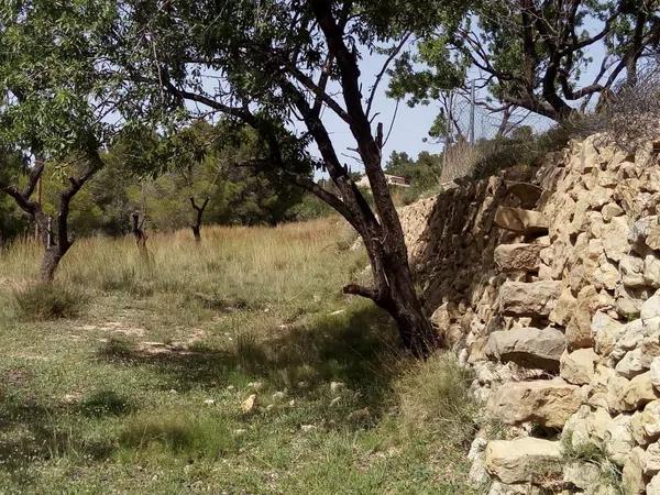 Terreno en Partida Vinyent