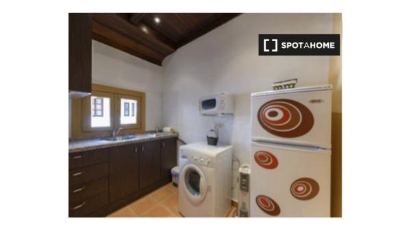 Apartamento de 1 dormitorio en alquiler en Albaicín, Granada