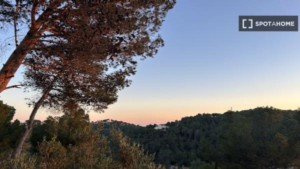 Piso de 2 habitaciones en alquiler en Canyelles