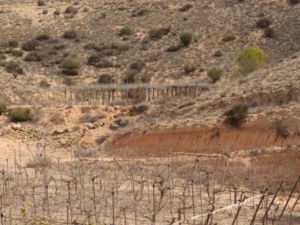 Terreno en calle Carlos Arniches