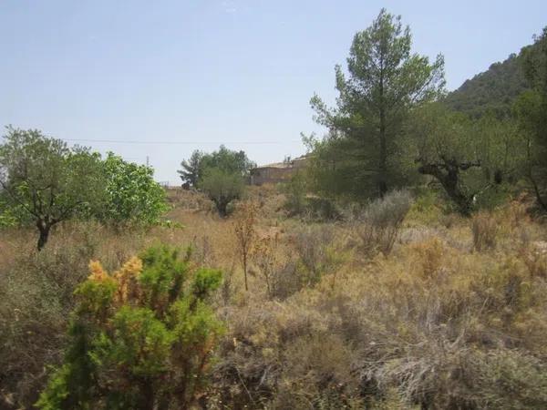 Terreno en via del Mediterráneo