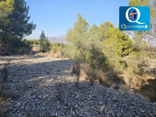 Terreno en Casco urbano