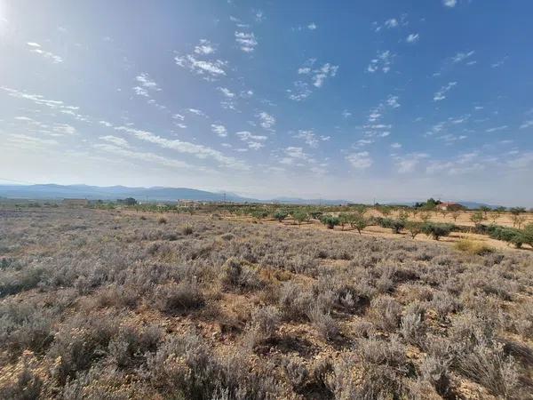 Terreno en Partida Casas de Ibañez, 19