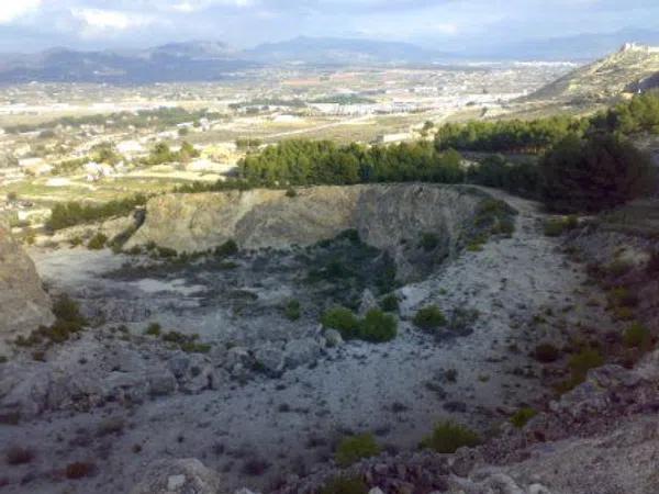 Terreno en carretera de Sax, km 4