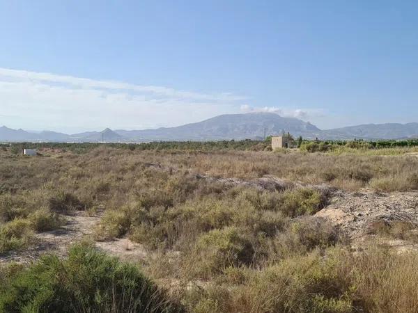 Terreno en Monforte del Cid