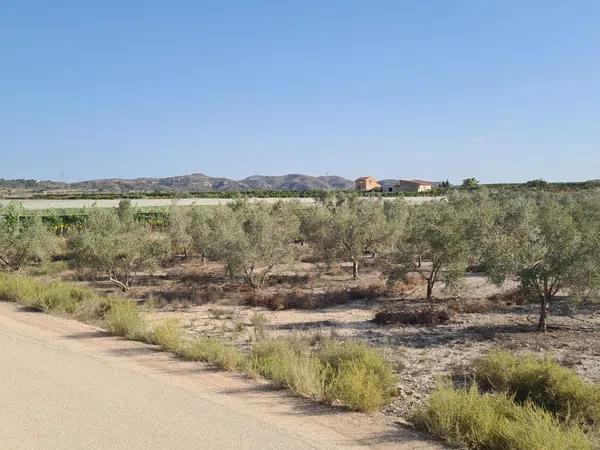 Terreno en Monforte del Cid