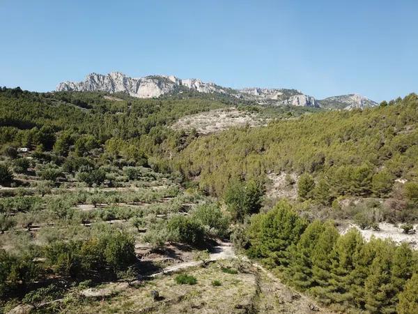 Terreno en Guadalest