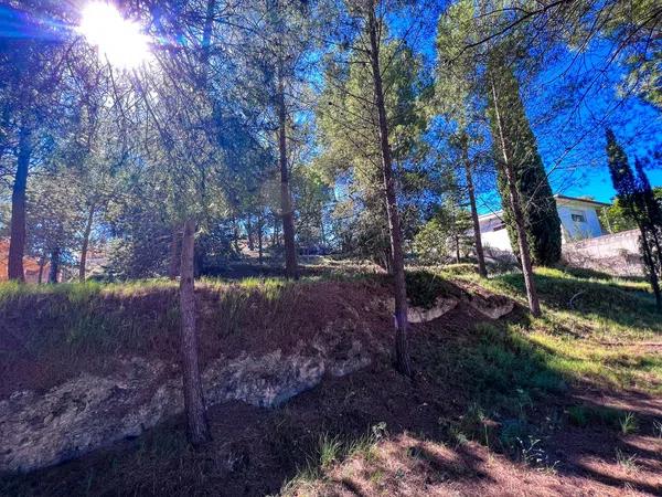 Terreno en calle Fresno, 1 c