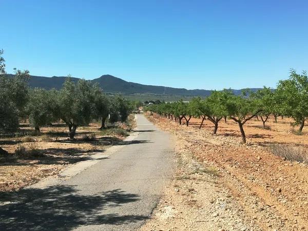 Terreno en calle De la Tintorera, 30