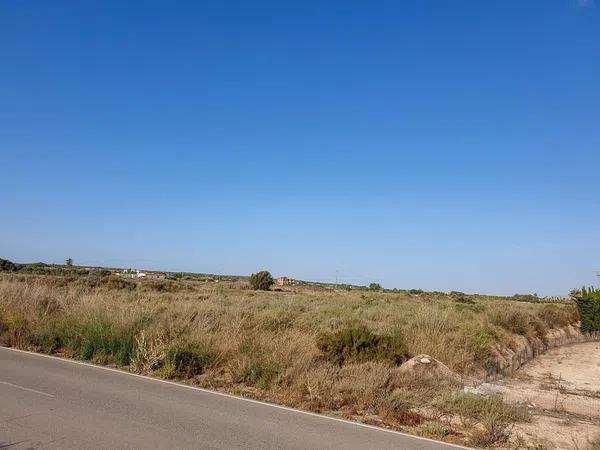 Terreno en La marina poligono 49 parcela 92, 92