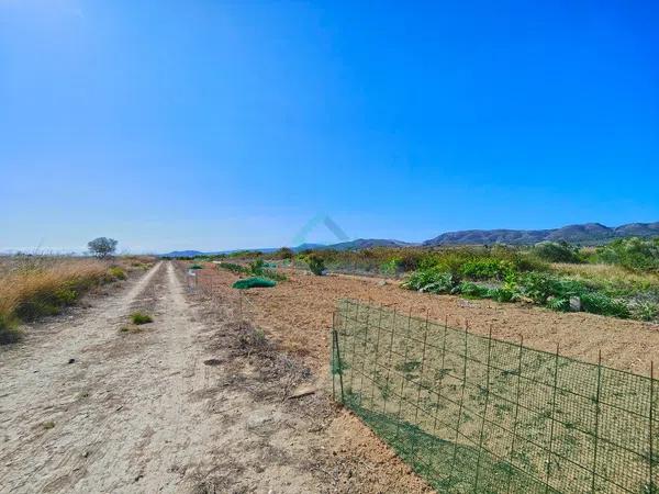 Terreno en La Xara - La Sella - Jesús Pobre