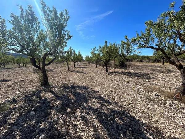 Terreno en Barrio Canicios