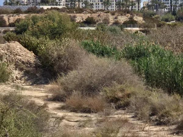 Terreno en Algoda-Matola-Llano de San José