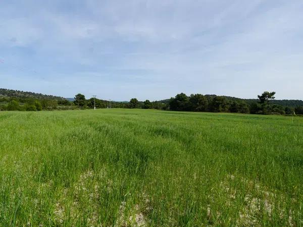 Terreno en juan carlos, 1