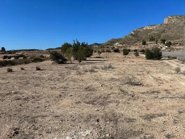 Terreno en Partida Horna Alta