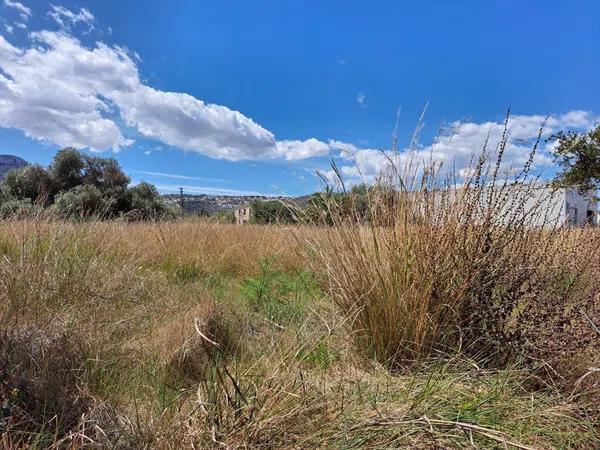 Terreno en La Pedrera-Vessanes