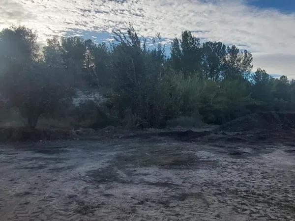 Terreno en Partida Font del Pi, 3