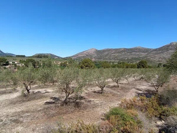 Terreno en Cv-705 s/n