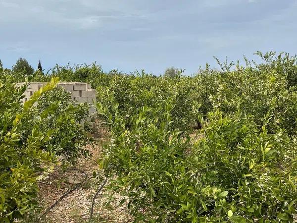 Terreno en Partida Gaia, 133