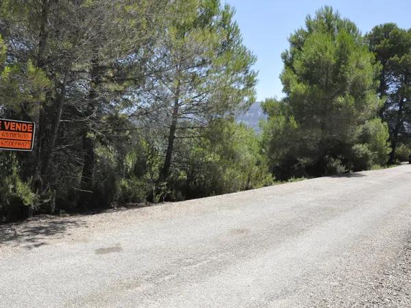 Terreno en partida morquera, 11