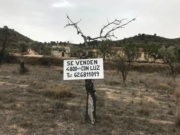 Terreno en paraje las macarobas, 7