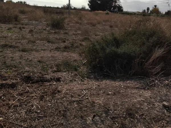 Terreno en camino de las bayas, km 851