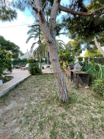 Casa independiente en calle Carabela, 18