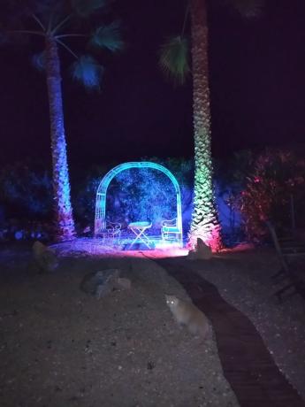 Chalet en calle Serra Bernia-ur Placita Lloma