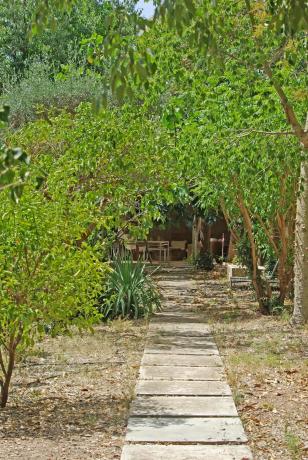 Masía en Partida Riquer Baix