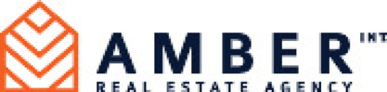 Amber International
