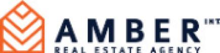 Amber International