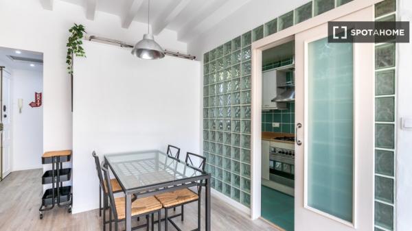 Precioso y confortable piso en zona céntrica de Barcelona