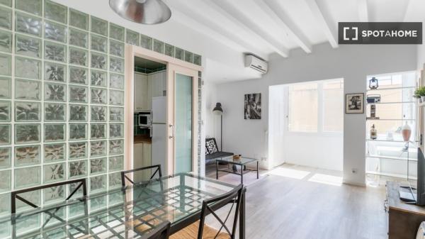 Precioso y confortable piso en zona céntrica de Barcelona