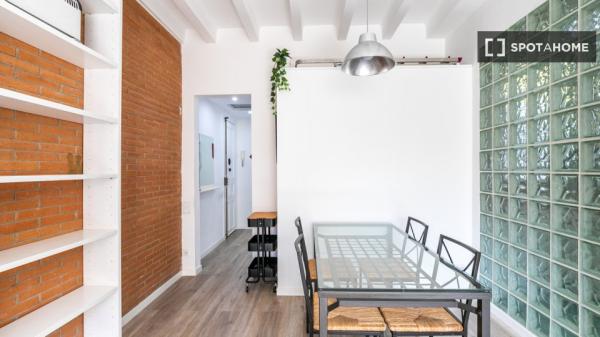 Precioso y confortable piso en zona céntrica de Barcelona