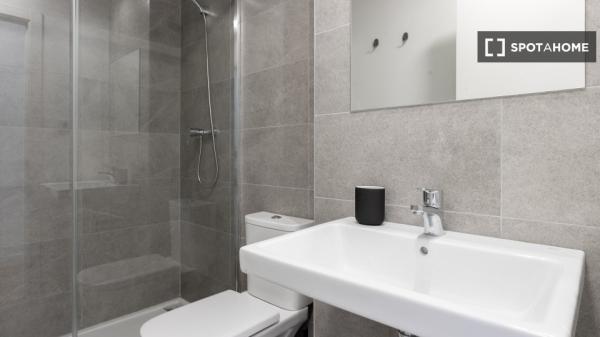 Live the co-living experience in the heart of Málaga