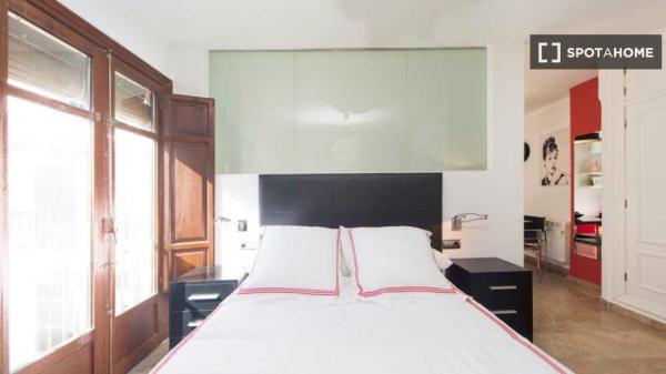 Apartamento de 1 dormitorio en alquiler en Granada