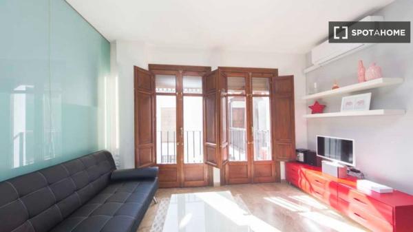 Apartamento de 1 dormitorio en alquiler en Granada
