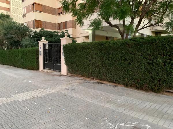 Piso en avenida Alcalde Lorenzo Carbonell, 19