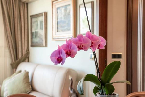 Piso en calle Ingeniero Lafarga, 2