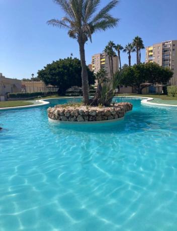 Piso en calle Músico Antón Roch, 1