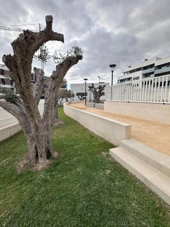 Ático en calle Cronista Isidro Buades, 28