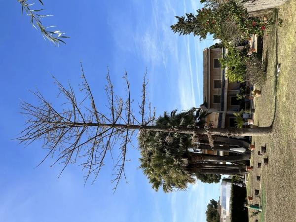 Casa independiente en ronda Arcipreste de Hita s/n