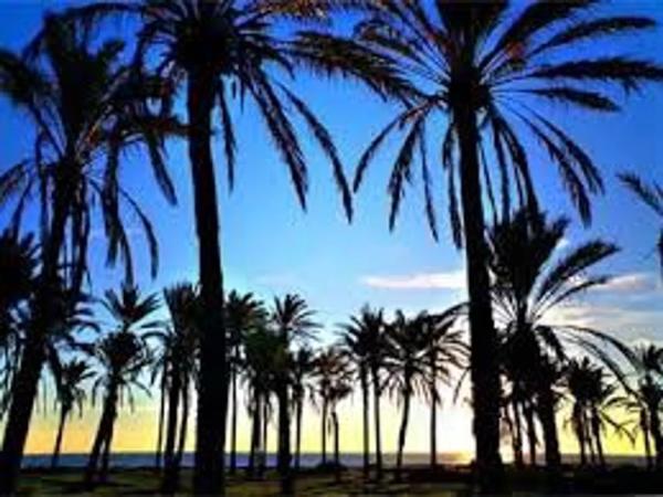 Piso en avenida Don Juan de Austria, 9