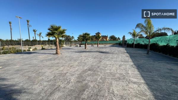 Chambre dans un appartement partagé à Elx